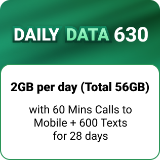 2 GB per day for 28 days